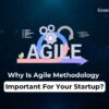 an image Agile Methodology Important For Your Startup
