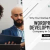 an image representing WordPress development company in Canada